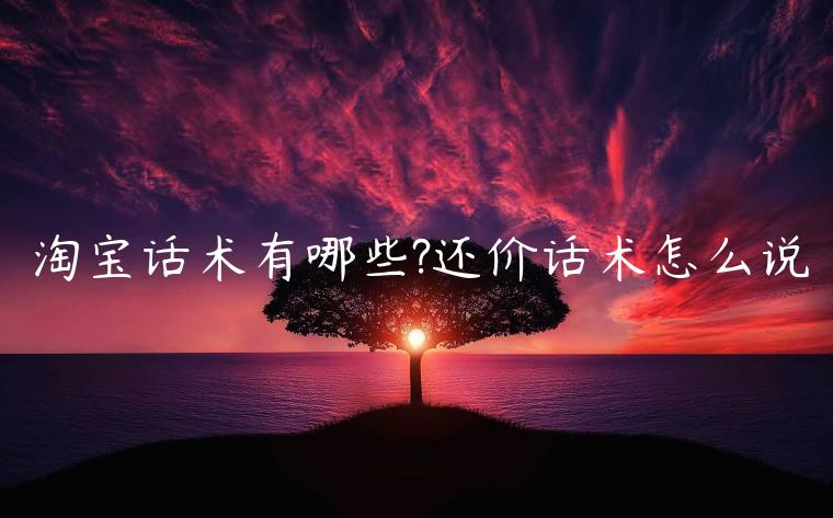 淘寶話術(shù)有哪些?還價(jià)話術(shù)怎么說